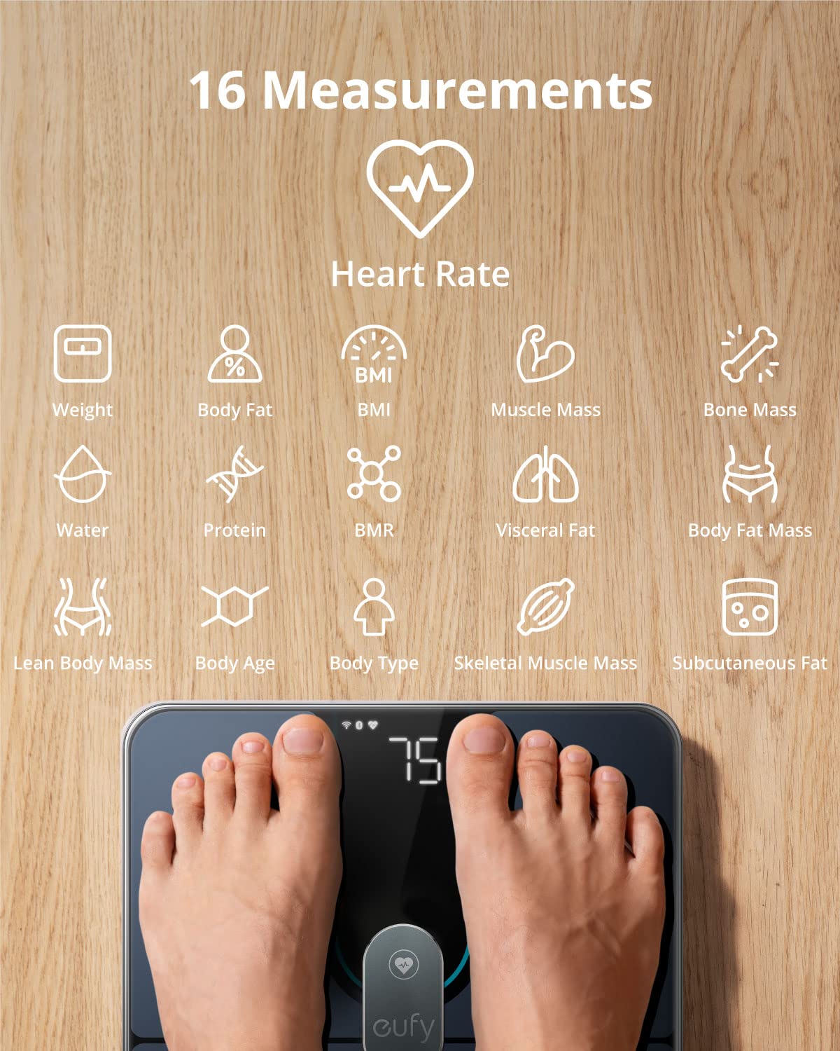 eufy Smart Scale P2 Pro, Digital Bathroom Scale with Wi-Fi Bluetooth, 16 Measurements Including Weight, Heart Rate, Body Fat, BMI, Muscle & Bone Mass, 3D Virtual Body Mode, 50 g/0.1 lb High Accuracy Pack of 2 - Image 2